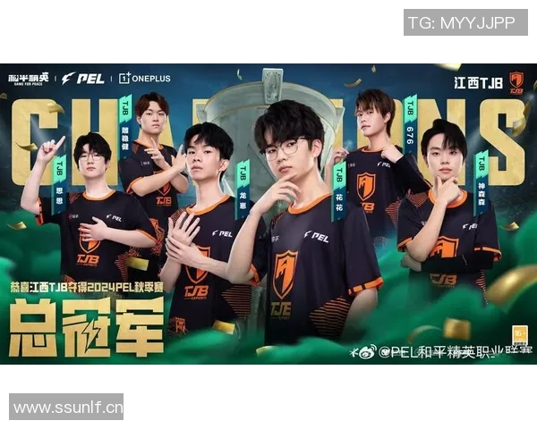 热议和平精英LNG战队比赛经验的变革与未来发展探讨