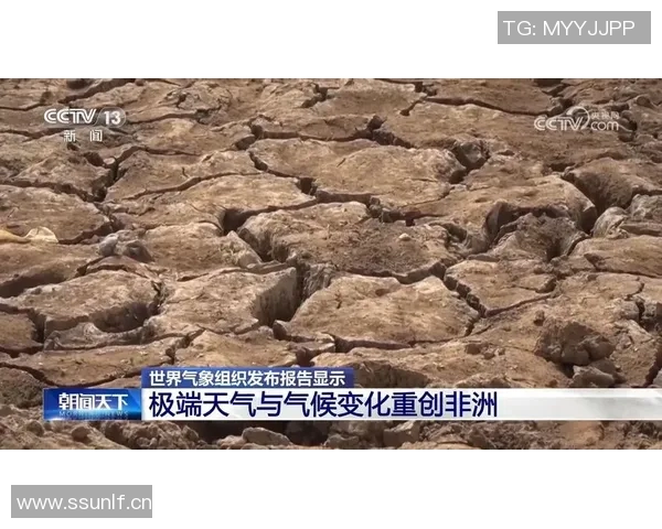 全球气候变化加剧引发极端天气现象频发 专家呼吁加强应对与国际合作